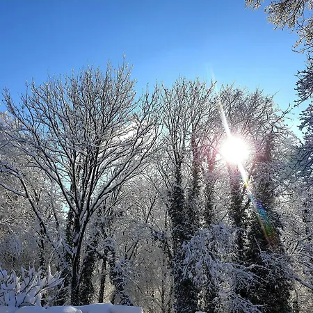 Alpesi faház Le Cosy Piscine Et