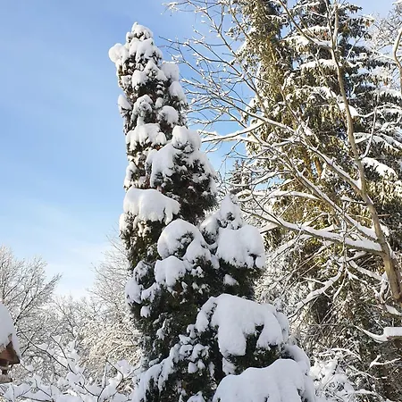 Le Cosy Piscine Et * Weiterswiller